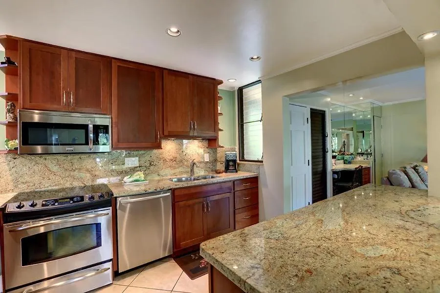 Appartement Wailea Elua, #0909 Condo États-Unis